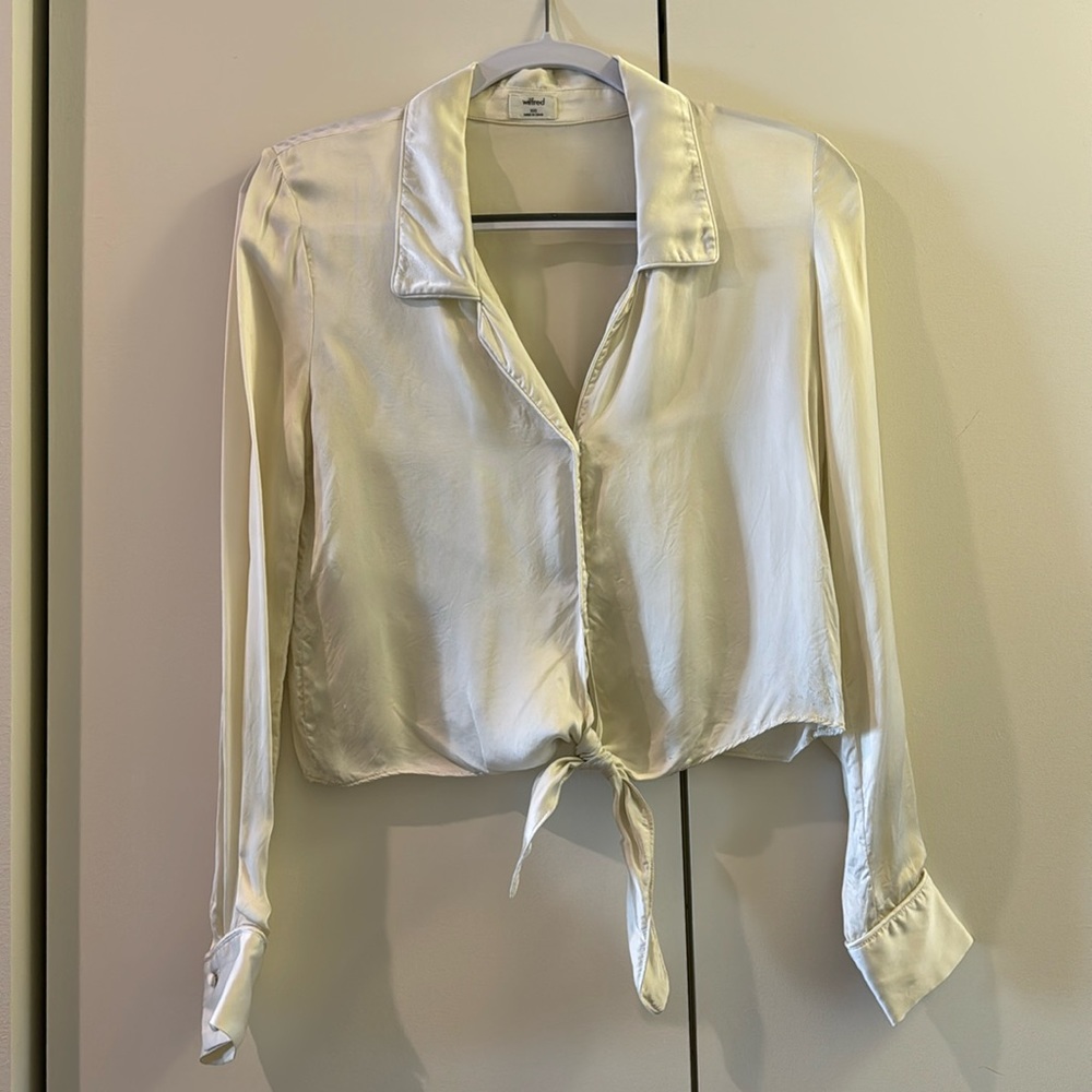 Aritzia Silk Button Down